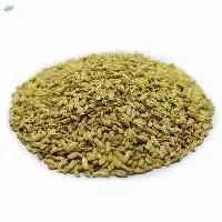 Fennel Seeds