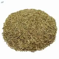 Cumin Seeds