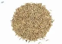 Caraway Seed