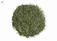 Dill