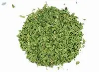 Cilantro Leaf