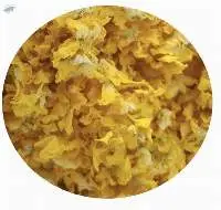 Verbascum Dried