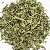 Lemon Verbena