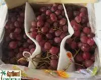 Fresh Grapes