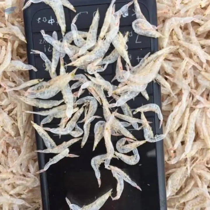 Dried Baby Shrimp