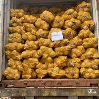 Dried Dehusked Coconut