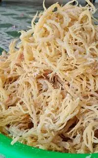 Cottonii Seaweed