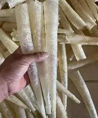 Dried Fish Maw- Tube Shape