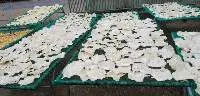 Dried Fish Maw Big Oval Shape