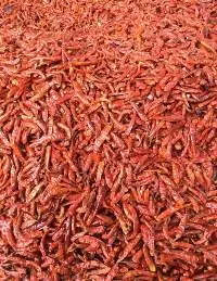 Dried Red Chilly