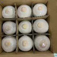 Fresh Young Coconut