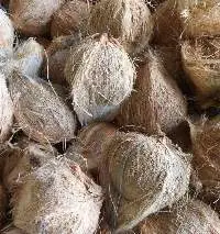 Brown Coconut