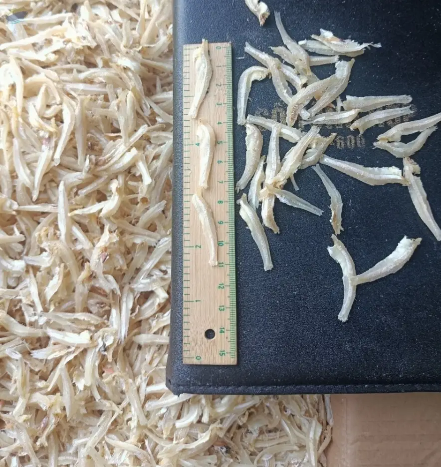 Dried Anchovy Fish