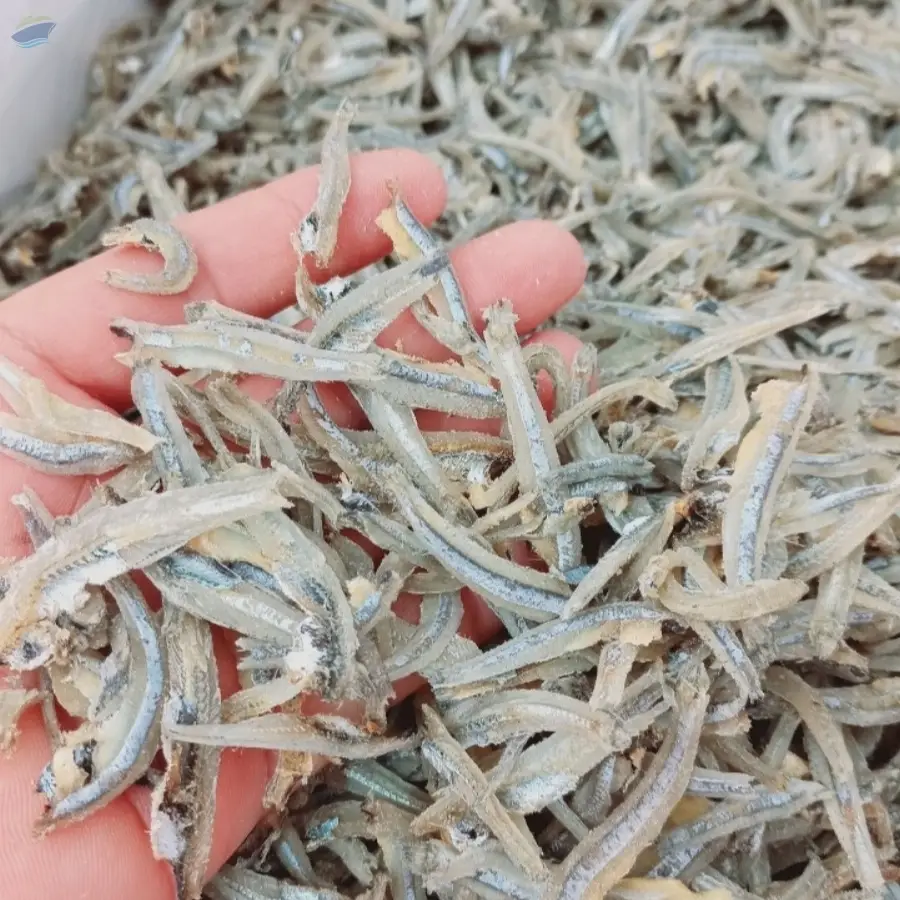Dried Anchovy Fish