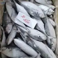 Frozen Fish Like Mackerel