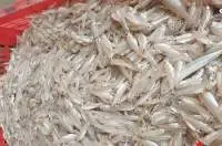 Frozen Keski Fish