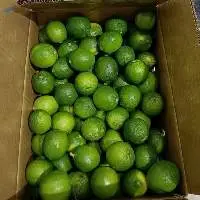 Seedless Lemon