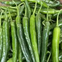 Fresh Chilli Peppers