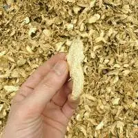 Dried Ginger