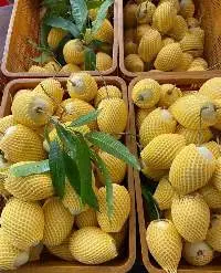Fresh Mango