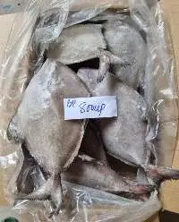 Frozen Pomfret Fish