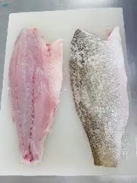 Frozen Seabass Fillet