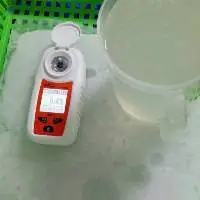 Frozen Coconut Juice
