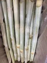 Frozen Sugarcane