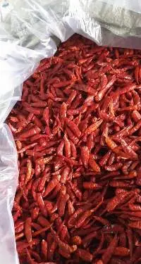 Dried Chilli