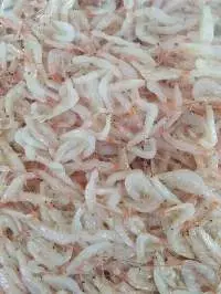 Salted Baby Shrimp