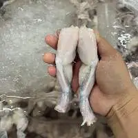 Frozen Frog Legs