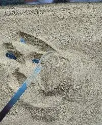 Rice Bran Powder