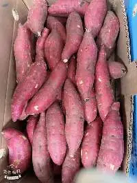Sweet Potatoes