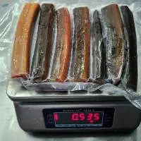 Frozen Eel Meat