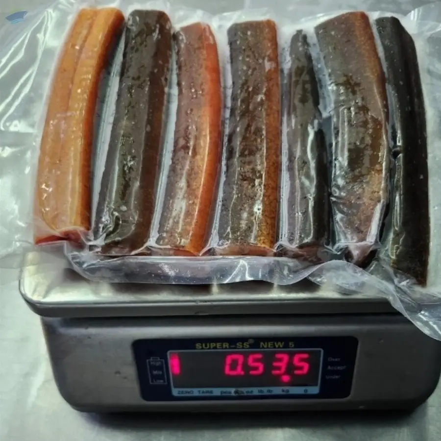 Frozen Eel Meat