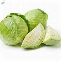 Fresh Cabbage