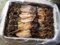 Dried Black Squid
