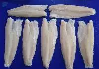 Snakehead Fillet