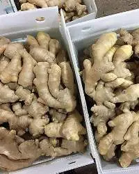 Fresh Ginger