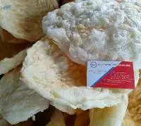 Baked Fish Maw
