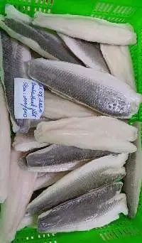 Snakehead Fillet