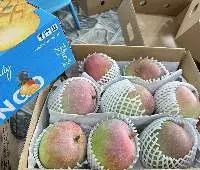 RE2E Mango