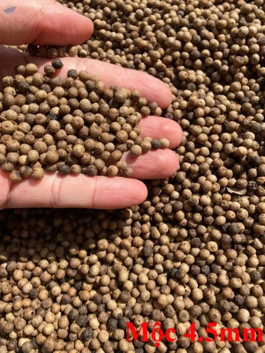 Dried Pepper