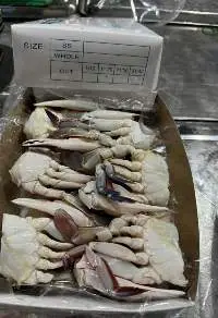 Frozen Crab
