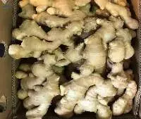 Fresh Ginger
