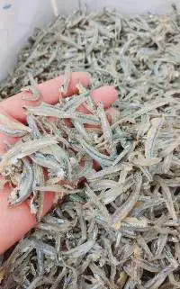 DRIED FISH