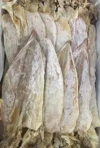 Dried squid