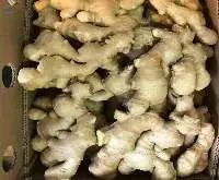 Fresh Ginger