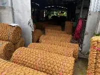 Coconut Carpet