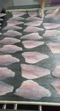fillet seabass